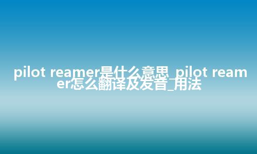 pilot reamer是什么意思_pilot reamer怎么翻译及发音_用法