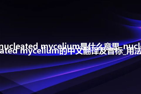 nucleated mycelium是什么意思_nucleated mycelium的中文翻译及音标_用法