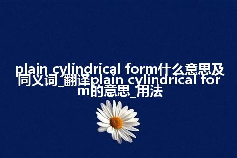 plain cylindrical form什么意思及同义词_翻译plain cylindrical form的意思_用法