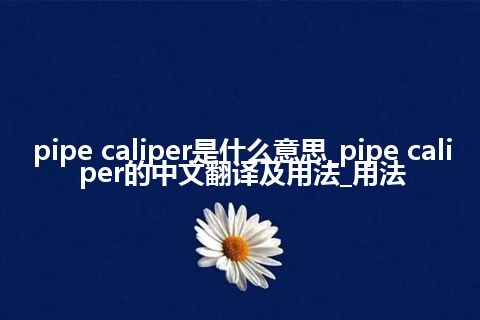 pipe caliper是什么意思_pipe caliper的中文翻译及用法_用法