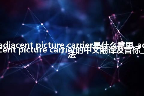 adjacent picture carrier是什么意思_adjacent picture carrier的中文翻译及音标_用法