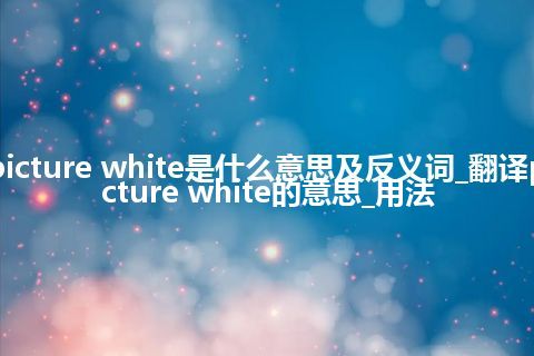picture white是什么意思及反义词_翻译picture white的意思_用法