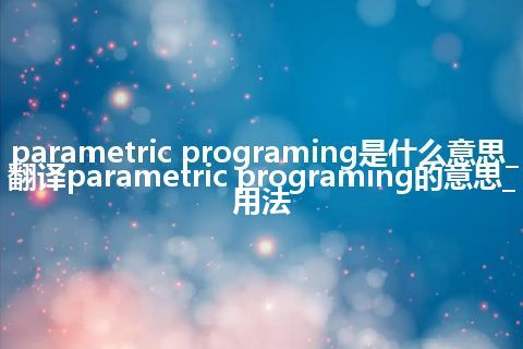 parametric programing是什么意思_翻译parametric programing的意思_用法