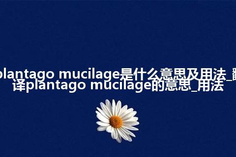 plantago mucilage是什么意思及用法_翻译plantago mucilage的意思_用法