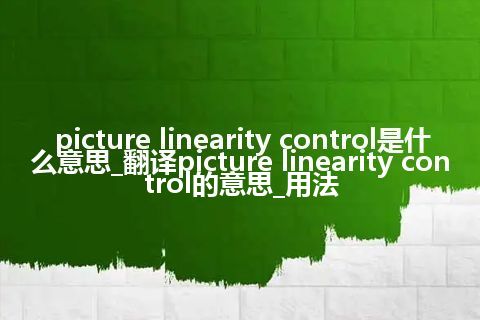 picture linearity control是什么意思_翻译picture linearity control的意思_用法