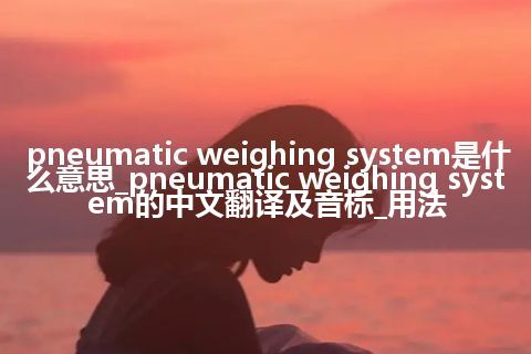 pneumatic weighing system是什么意思_pneumatic weighing system的中文翻译及音标_用法