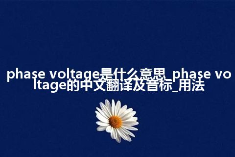 phase voltage是什么意思_phase voltage的中文翻译及音标_用法