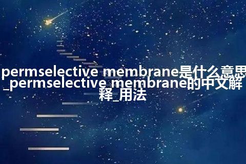 permselective membrane是什么意思_permselective membrane的中文解释_用法