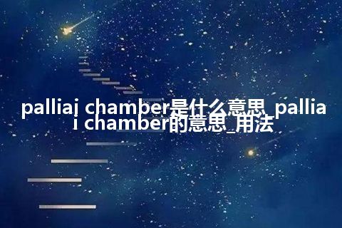 palliai chamber是什么意思_palliai chamber的意思_用法