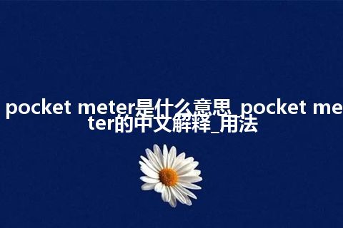 pocket meter是什么意思_pocket meter的中文解释_用法