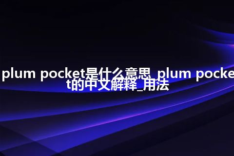 plum pocket是什么意思_plum pocket的中文解释_用法