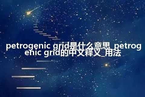 petrogenic grid是什么意思_petrogenic grid的中文释义_用法