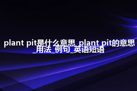plant pit是什么意思_plant pit的意思_用法_例句_英语短语