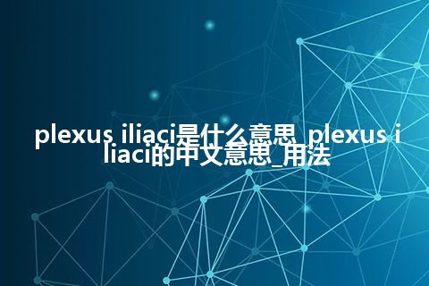 plexus iliaci是什么意思_plexus iliaci的中文意思_用法