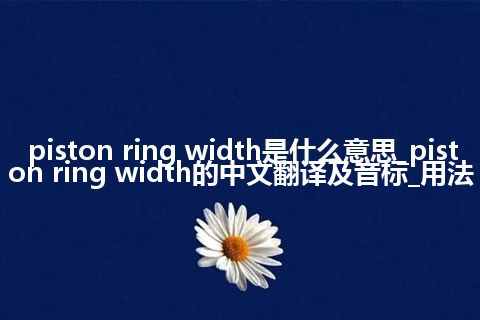 piston ring width是什么意思_piston ring width的中文翻译及音标_用法