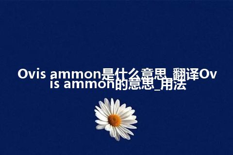 Ovis ammon是什么意思_翻译Ovis ammon的意思_用法