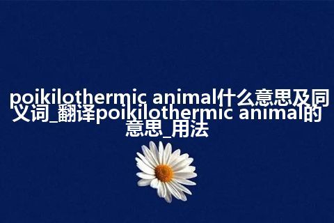 poikilothermic animal什么意思及同义词_翻译poikilothermic animal的意思_用法