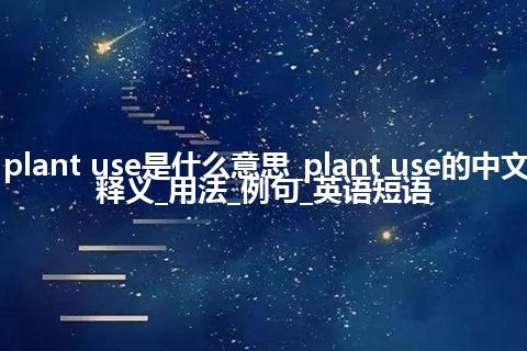 plant use是什么意思_plant use的中文释义_用法_例句_英语短语