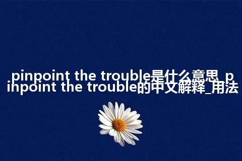 pinpoint the trouble是什么意思_pinpoint the trouble的中文解释_用法