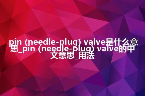 pin (needle-plug) valve是什么意思_pin (needle-plug) valve的中文意思_用法