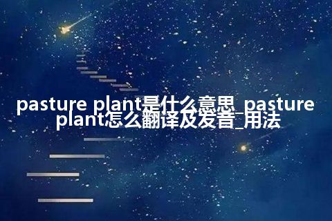 pasture plant是什么意思_pasture plant怎么翻译及发音_用法