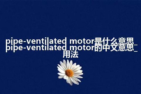 pipe-ventilated motor是什么意思_pipe-ventilated motor的中文意思_用法