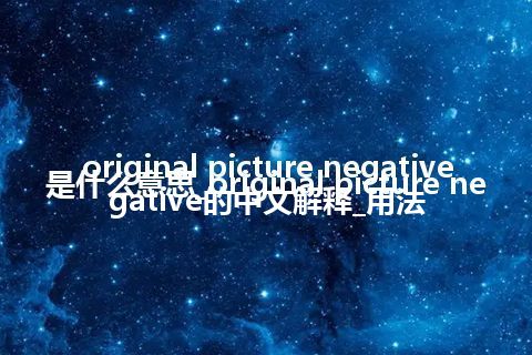 original picture negative是什么意思_original picture negative的中文解释_用法