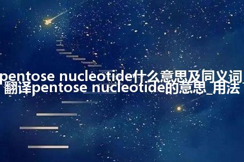 pentose nucleotide什么意思及同义词_翻译pentose nucleotide的意思_用法