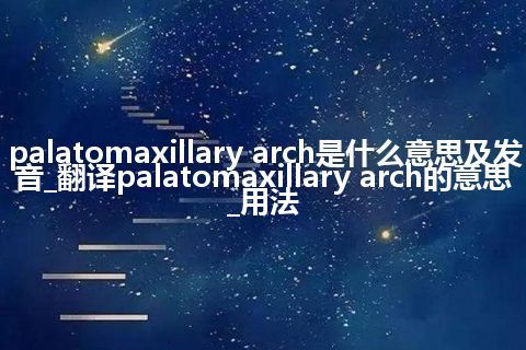 palatomaxillary arch是什么意思及发音_翻译palatomaxillary arch的意思_用法