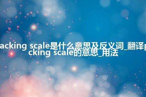 packing scale是什么意思及反义词_翻译packing scale的意思_用法