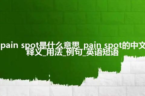 pain spot是什么意思_pain spot的中文释义_用法_例句_英语短语