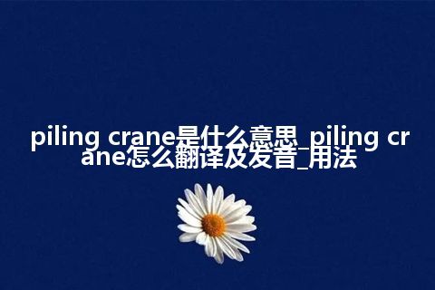 piling crane是什么意思_piling crane怎么翻译及发音_用法