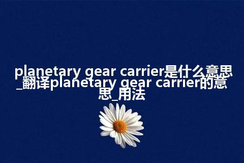 planetary gear carrier是什么意思_翻译planetary gear carrier的意思_用法