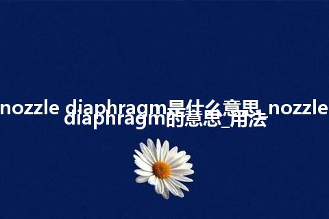 nozzle diaphragm是什么意思_nozzle diaphragm的意思_用法