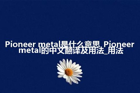 Pioneer metal是什么意思_Pioneer metal的中文翻译及用法_用法