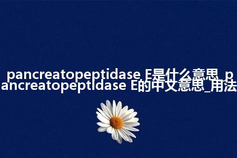 pancreatopeptidase E是什么意思_pancreatopeptidase E的中文意思_用法
