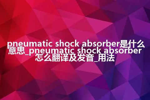 pneumatic shock absorber是什么意思_pneumatic shock absorber怎么翻译及发音_用法