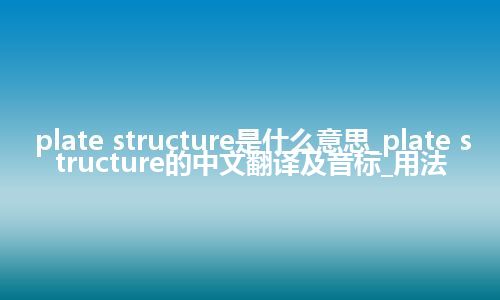plate structure是什么意思_plate structure的中文翻译及音标_用法