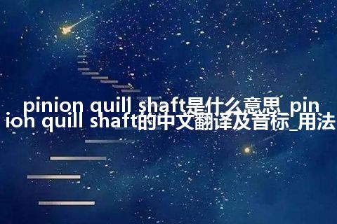 pinion quill shaft是什么意思_pinion quill shaft的中文翻译及音标_用法