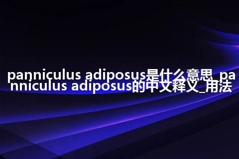 panniculus adiposus是什么意思_panniculus adiposus的中文释义_用法