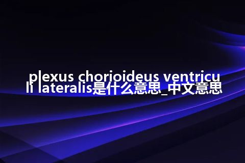 plexus chorioideus ventriculi lateralis是什么意思_中文意思