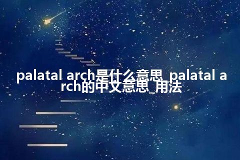 palatal arch是什么意思_palatal arch的中文意思_用法