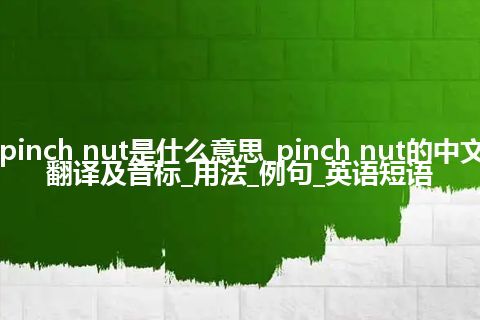 pinch nut是什么意思_pinch nut的中文翻译及音标_用法_例句_英语短语
