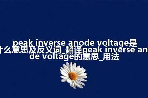 peak inverse anode voltage是什么意思及反义词_翻译peak inverse anode voltage的意思_用法