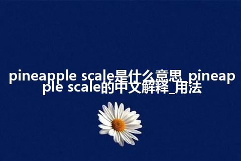 pineapple scale是什么意思_pineapple scale的中文解释_用法