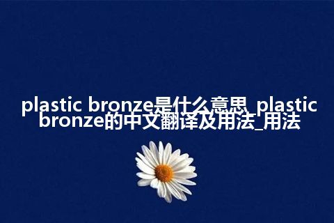 plastic bronze是什么意思_plastic bronze的中文翻译及用法_用法