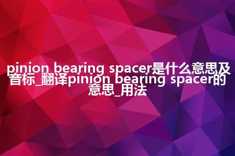 pinion bearing spacer是什么意思及音标_翻译pinion bearing spacer的意思_用法