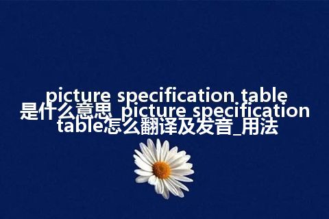 picture specification table是什么意思_picture specification table怎么翻译及发音_用法