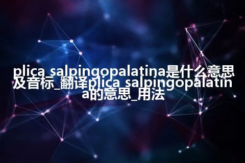 plica salpingopalatina是什么意思及音标_翻译plica salpingopalatina的意思_用法