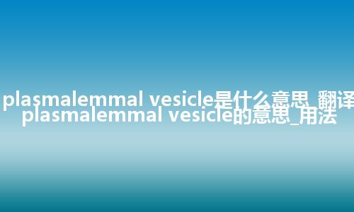 plasmalemmal vesicle是什么意思_翻译plasmalemmal vesicle的意思_用法